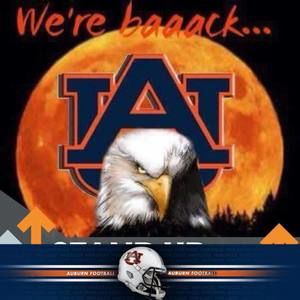 Meet your Posher, Truman